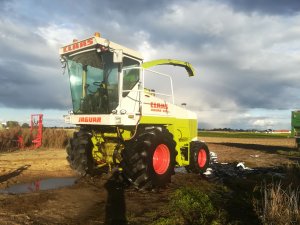 Claas jaguar 695sl