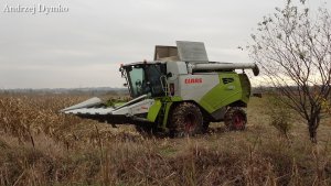 Claas Tucano 430