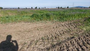 Dosiewanie narożników pól