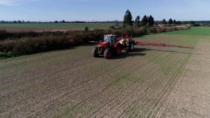 Jęczmień ozimy KWS Higgins - 04.10.2021