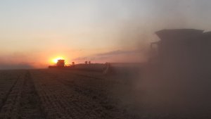 Lexion 8900 & Lexion 770