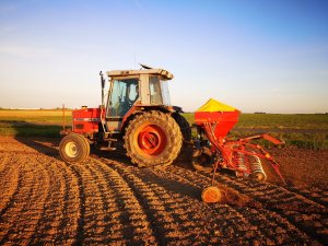 Massey Ferguson 3050 & Accord dl