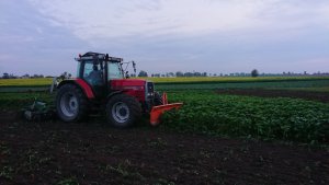 Massey ferguson 6190 