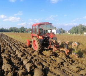 Mtz 82 & Krone