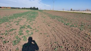 rzepak LG ambasador 30.10.2021