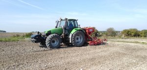 Siew pszenicy ozimej 2021