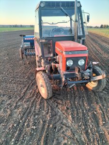 Zetor 5211 i Fiona siew pszenicy