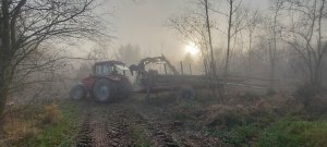 Belarus 1221.3 & przyczepa leśna we mgle