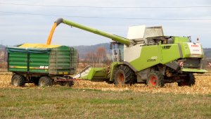 Claas Lexion 650 & Metaltech DB14.