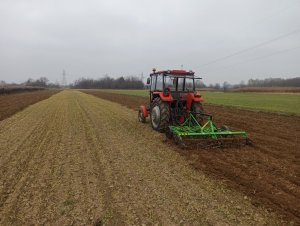 Massey Ferguson 255 & kultywator