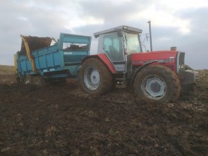 Massey Ferguson 3115