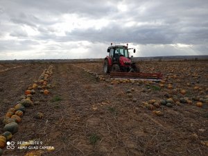 Massey Ferguson 5609