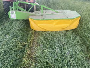 Mieszanka gorzowska plus