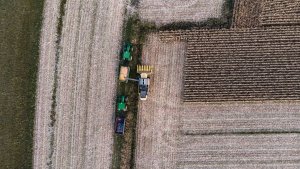 Żniwa Kukurydziane 2021