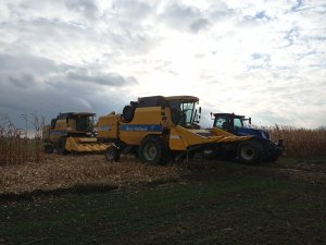 2x New Holland TC5070 i T7.195S