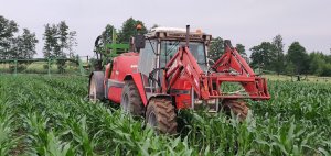 Massey Ferguson 3065