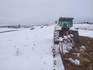 Massey Ferguson 3115