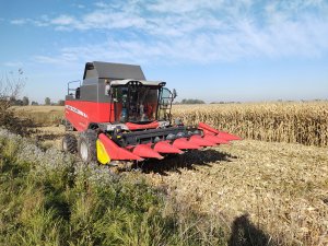 Massey Ferguson 7347