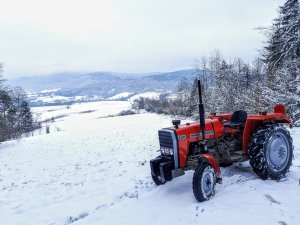 Massey Feruson 255