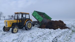 Ursus C-360 & Autosan D-46B