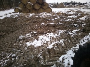 Zamarznięte koleiny