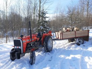 Massey Ferguson 255 przyczepa jednoosiowa