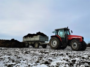 Massey Ferguson 6260 + D 55
