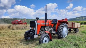 Massey Ferguson 255 & 330