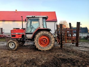 Massey Ferguson 3050 & włóka 4m