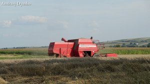 Massey Ferguson 330