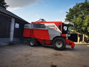 MASSEY FERGUSON CEREA 7256 RS