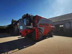 MASSEY FERGUSON CEREA 7256 RS