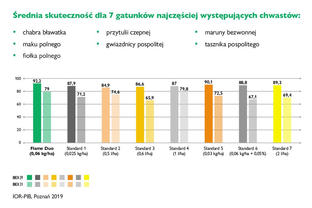 Flame Duo – na straży czystego pola