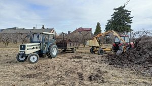 Ładowanie podłoża pieczarkowego na rozrzutnik