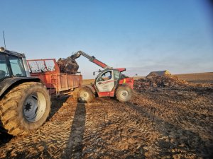 Manitou MLT 733-115 PREMIUM 