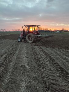 Massey Ferguson 255 & brony5