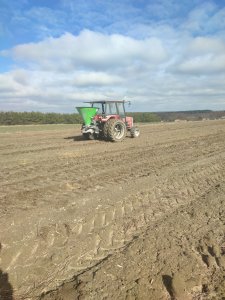 Massey Ferguson 255 & langren