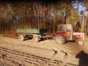 Massey ferguson 255