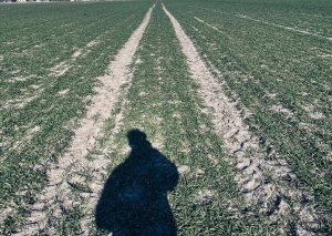 Pszenżyto Su Liborius 19.03 5/6 klasa