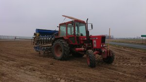 Mtz 82 + rolmako 3m i poznaniak 6/3c