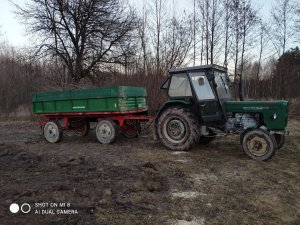 Ursus C-360 & Autosan d35m