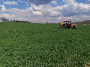 Jęczmień qadriga & Ursus 4514& Klara 615