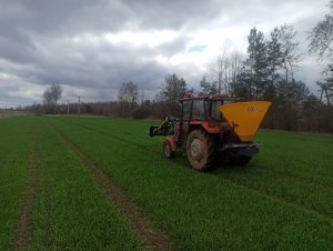 Massey Ferguson 255 & Langren