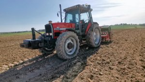 Massey ferguson 3095