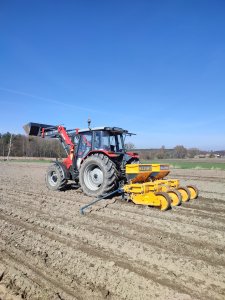 Massey Ferguson 4345 & kleine maxicorn