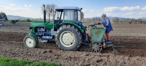 Ursus C-4011 & Sadzarka 