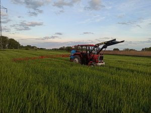 Massey Ferguson 255 & Biardzki 