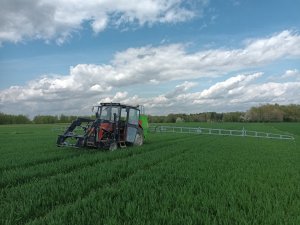 Massey Ferguson 255 Tolmet 615