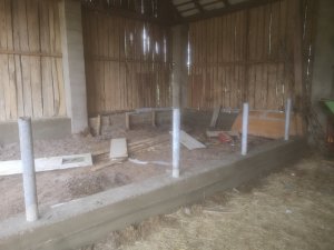 Boks dla krów w stodole 