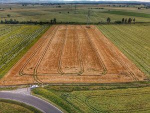 jęczmień ozimy kws higgins 25.06.2022